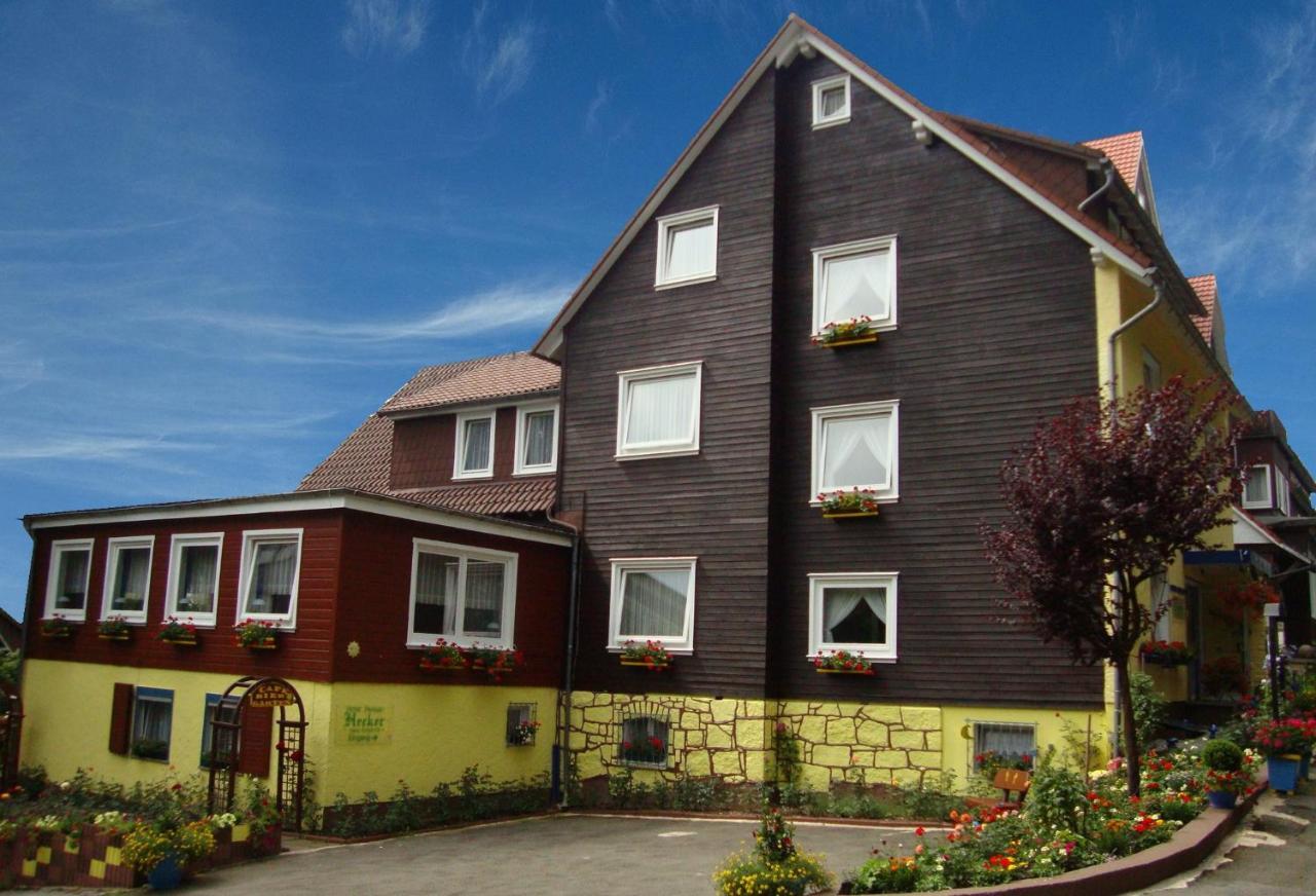 Hecker Hotel 3*